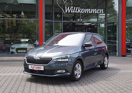 Skoda Fabia 1.0 TSI Kamera PDC Sitzheizung Tempomat