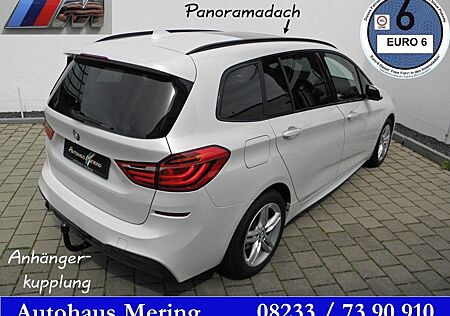 BMW 2er 218iA MAero+Sportp Reling Privacy Panorama AHK