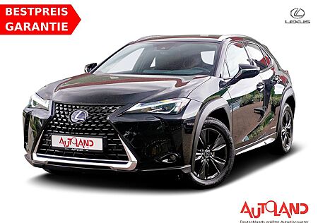 Lexus UX 250h Amazing Edition LED ACC Totwinkel Kamera