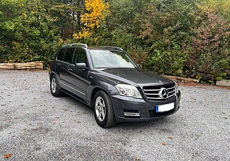 Mercedes-Benz GLK 250 gebraucht kaufen Mercedes-Benz GLK 250 CDI 4MATIC BlueEFFICIENCY -