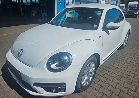 VW Beetle Volkswagen R-Line Bi-Xenon Leder Alu SHZ PDC FSE