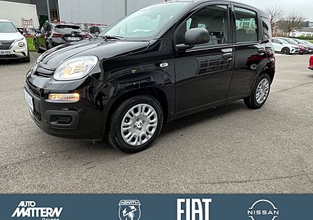 Fiat Panda Pandina Icon,PDC,DAB