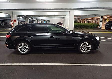 Audi A4 Avant 40 TDI Xenon*Kamera*ACC*PDC*