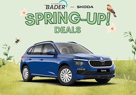 Skoda Kamiq Essence "Spring-Up" AUTOWELT-BADER!