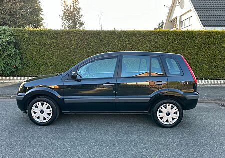 Ford Fusion gebraucht kaufen Ford Fusion 1.4 Fun X / Klima / TÜV 02.27 / Allwetter