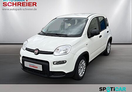Fiat Panda Pandina *EINPARKHILFE*TEMPOMAT*KLIMA*