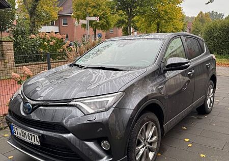 Toyota RAV 4 2,5-l-Hybrid Team Deutschland Auto 4x2...