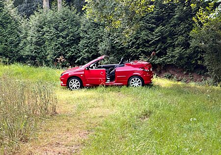 Peugeot 206 CC Sport 135 Nevada Rot Sport