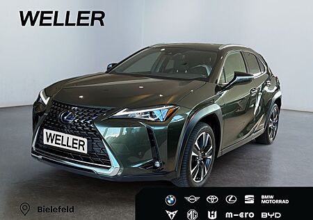 Lexus UX 250h Style Edition *Bi-LED*ACC*CAM*SHZ*CarPla