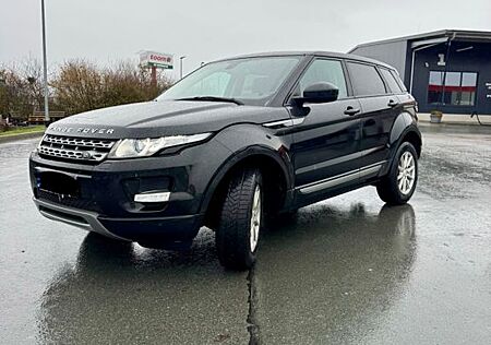 Land Rover Range Rover Evoque 2.2 TD4 Pure Pure