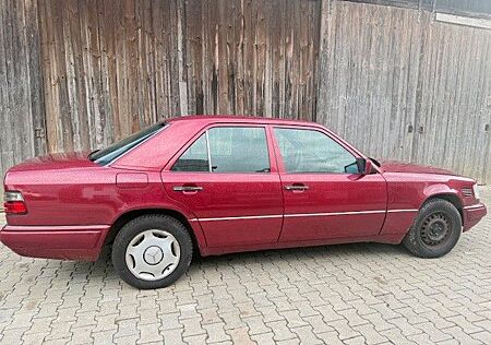 Mercedes-Benz 250 gebraucht kaufen Mercedes-Benz 250 E250 Diesel gebraucht