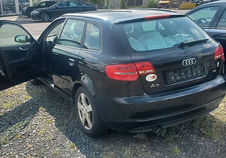 Audi A3 1.6 TDI Ambiente Sportback Ambiente