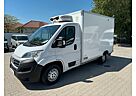 Fiat Ducato 2.3 Mjet MWB 3.5t MTA EUR6 KAWA KÜHLBOX