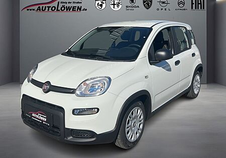 Fiat Panda 1.0 Mild Hybrid Pandina Cross (EURO 6e)