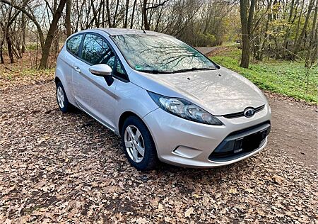 Ford Fiesta 1,4 TDCi