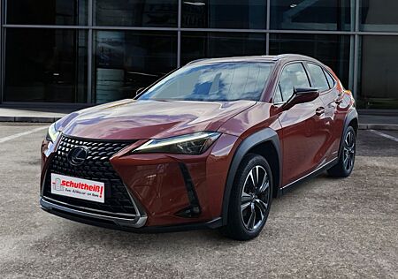 Lexus UX gebraucht kaufen Lexus UX 250h (E-FOUR) Luxury Line