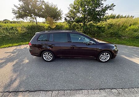 VW Golf Volkswagen 1.6 TDI DSG Comfortline Variant Comfortline