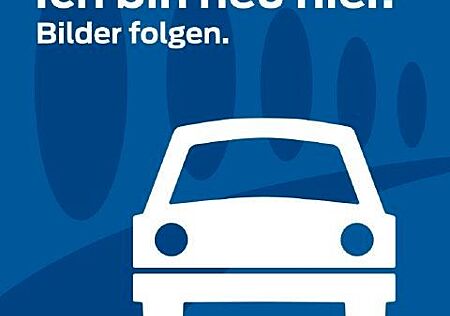 Ford Transit Trend 350 L2 Pritsche Dreiseitenkipper