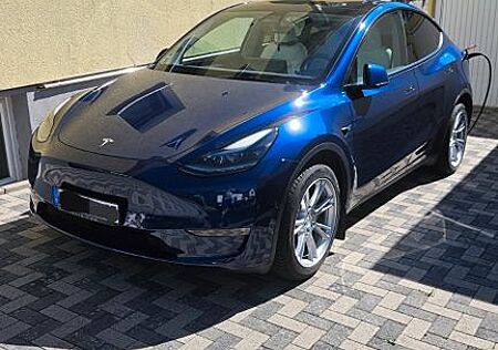 Tesla Model Y Long Range Dual Motor AWD AHK blau/weiß