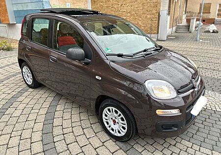 Fiat Panda My , Pano