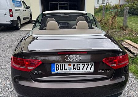 Audi A5 2.0 TDI (DPF) Cabriolet -