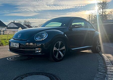 VW New Beetle Volkswagen