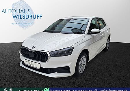 Skoda Fabia Ambition*LED*APP-CON*SHZ*KAMERA*ALU