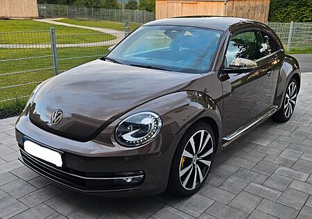 VW Beetle Volkswagen neu St.kette + Bremsen + Xenon + 8 Reifen