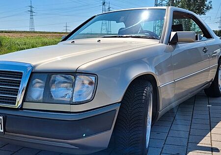 Mercedes-Benz 300 W 124 CE 24V mit H Zulassung