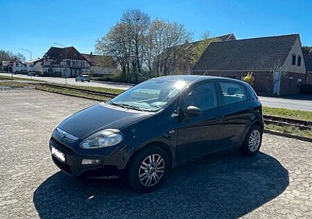 Fiat Punto EVO Active