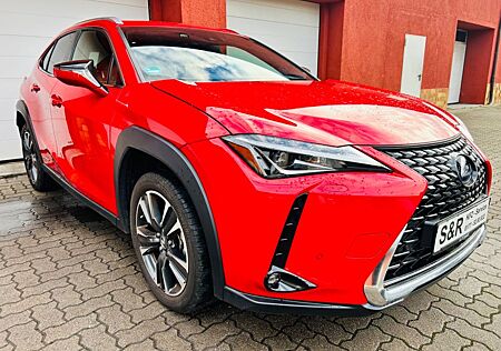 Lexus UX 250h