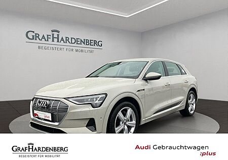 Audi e-tron 55 quattro Advanced ACC LED MMI Navi