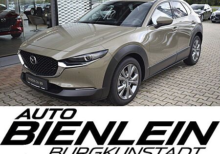 Mazda CX-30 2.5 140PS Exclusive-line Bose Matrix-LED 3