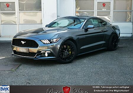 Ford Mustang 2.3 EcoBoost, Leder, Kamera, Navi