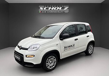 Fiat Panda Hybrid *KLIMA*PARKSENSOREN*