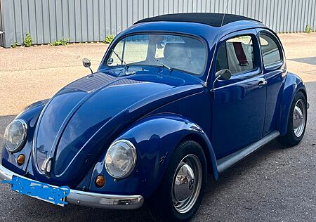 VW Käfer Volkswagen