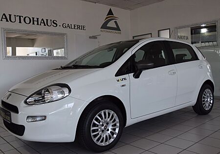 Fiat Punto Young 1.4/MODELL 2015/EURO6/1.HAND/TÜV NEU