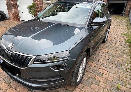 Skoda Karoq 2.0 TDI,4x4 Style,AHK,SHZ,SH,Nav,LED,PDC