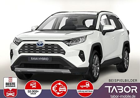 Toyota RAV 4 RAV4 2.5 Hybrid 222 4x4 Team D el.HK SHZ DigC
