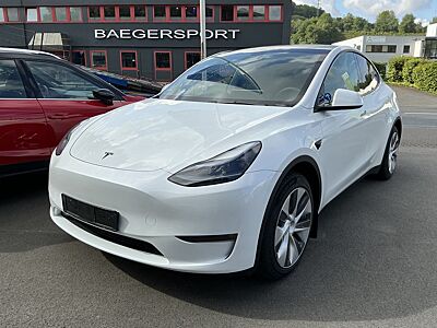 Tesla Model Y Long Range Dual AWD Leder Pano R.Cam