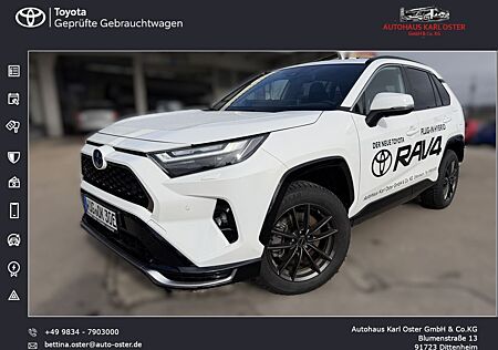 Toyota RAV 4 Plug-in-Hybrid Teamplayer