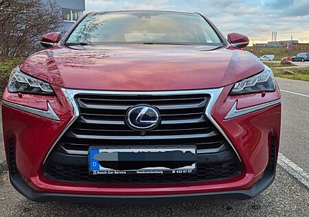 Lexus NX 300 NX 300h E-FOUR Luxury Line*8-Fach*HUD*PANO*LED