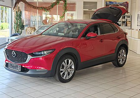 Mazda CX-30 Selektion