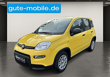 Fiat Panda Hybrid 1.0 GSE City-Paket|PDC|KLIMA