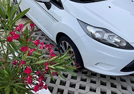 Ford Fiesta 1,25 Trend