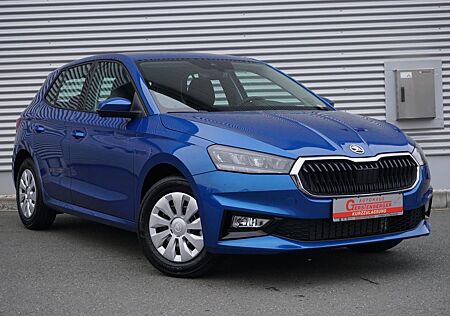 Skoda Fabia Selection 1.0 TSI LED/Klima/Smart-Link