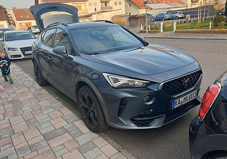 Cupra Formentor 2.0 TSI 228kW VZ 4Drive DSG VZ