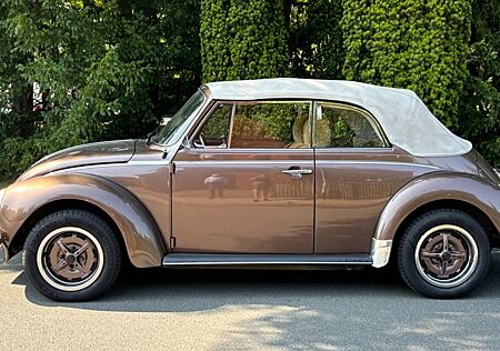 VW Käfer Volkswagen