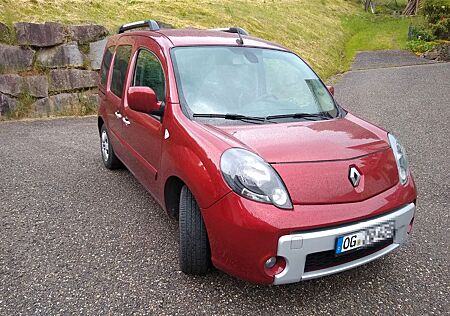 Renault Kangoo 1.5 dCi 75 Rollstuhlumbau