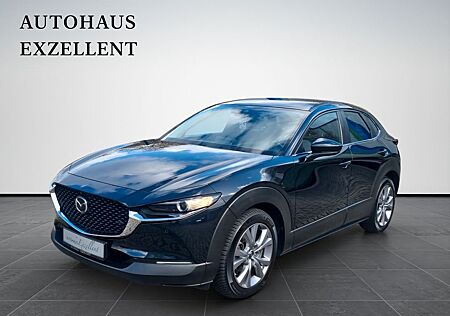 Mazda CX-3 CX-30 Selection*LED*ALU*SHZ*PDC*KAMERA*NAVI*